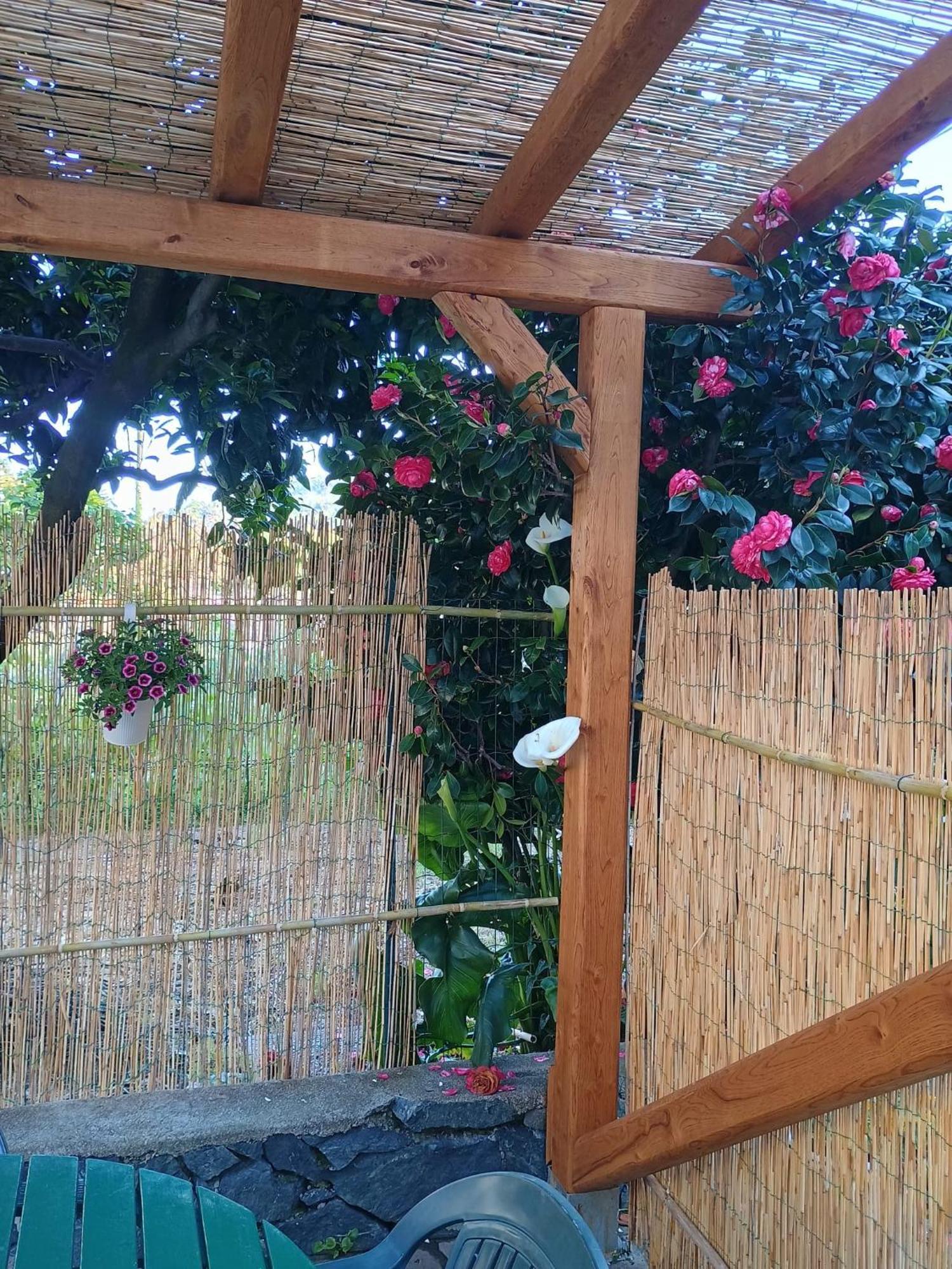 La Casa Dei Due Aranci Villa Albisola Superiore Exteriör bild